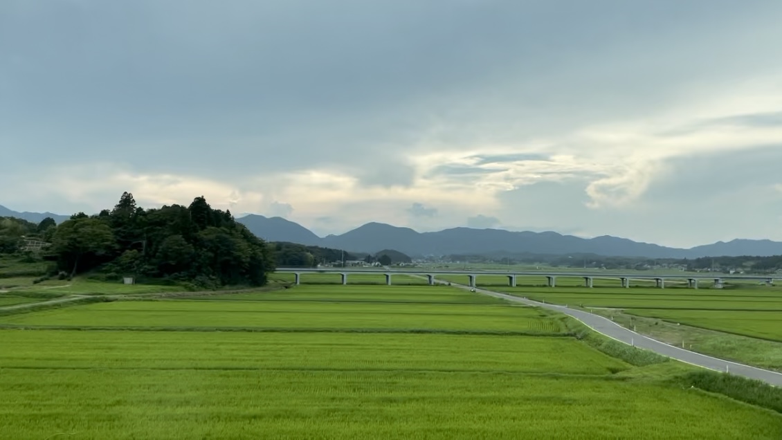 地元福島と東京の往来が、色合いに影響されていった