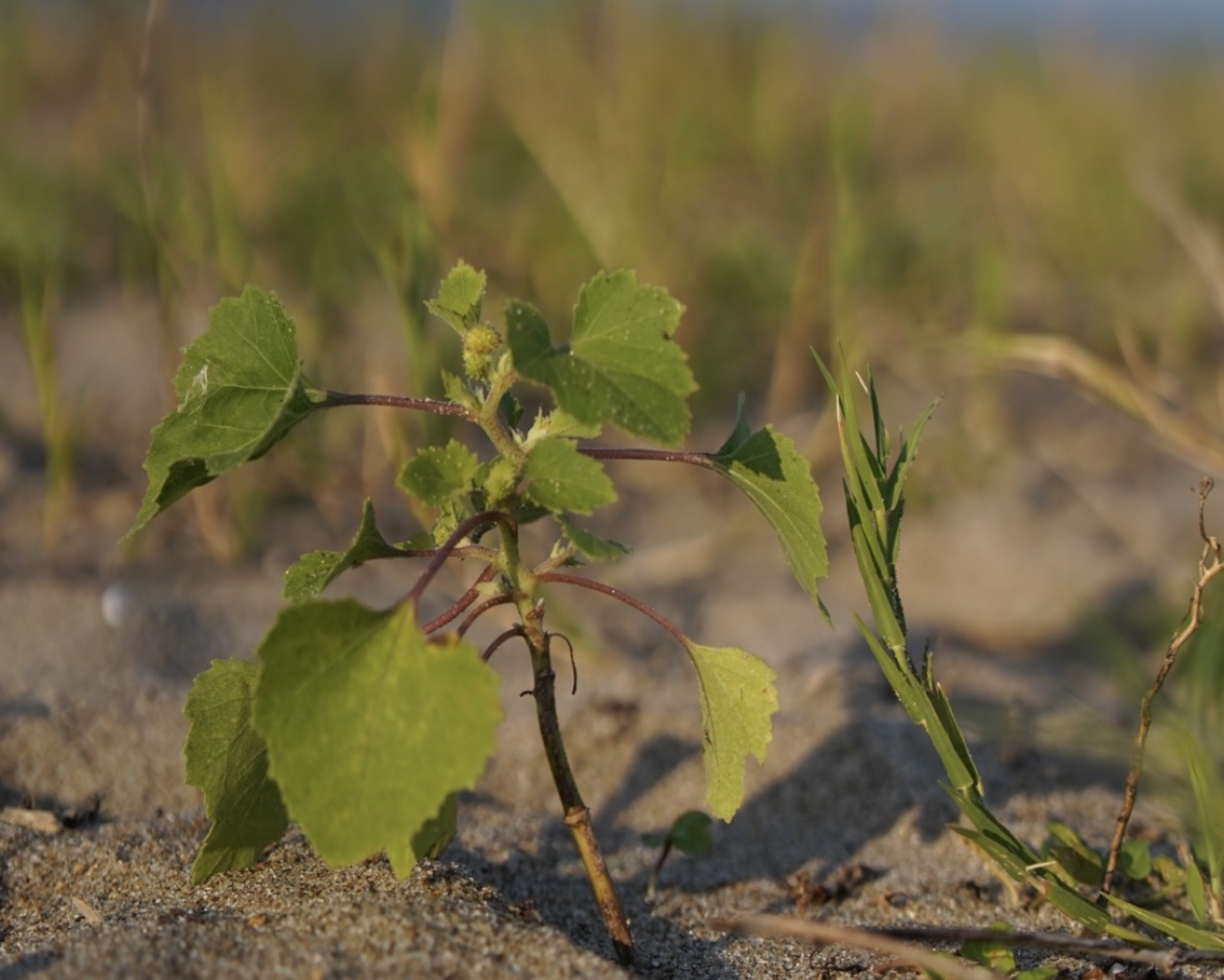 なんで今にブログを始めるのか。向き合っていくもの