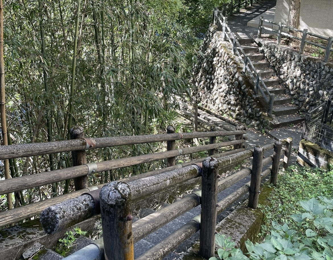 枠を知ると、自由になる