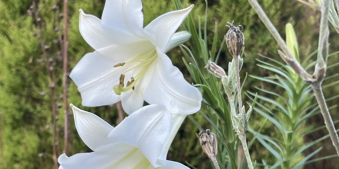 なかなか話したいことに到達しない