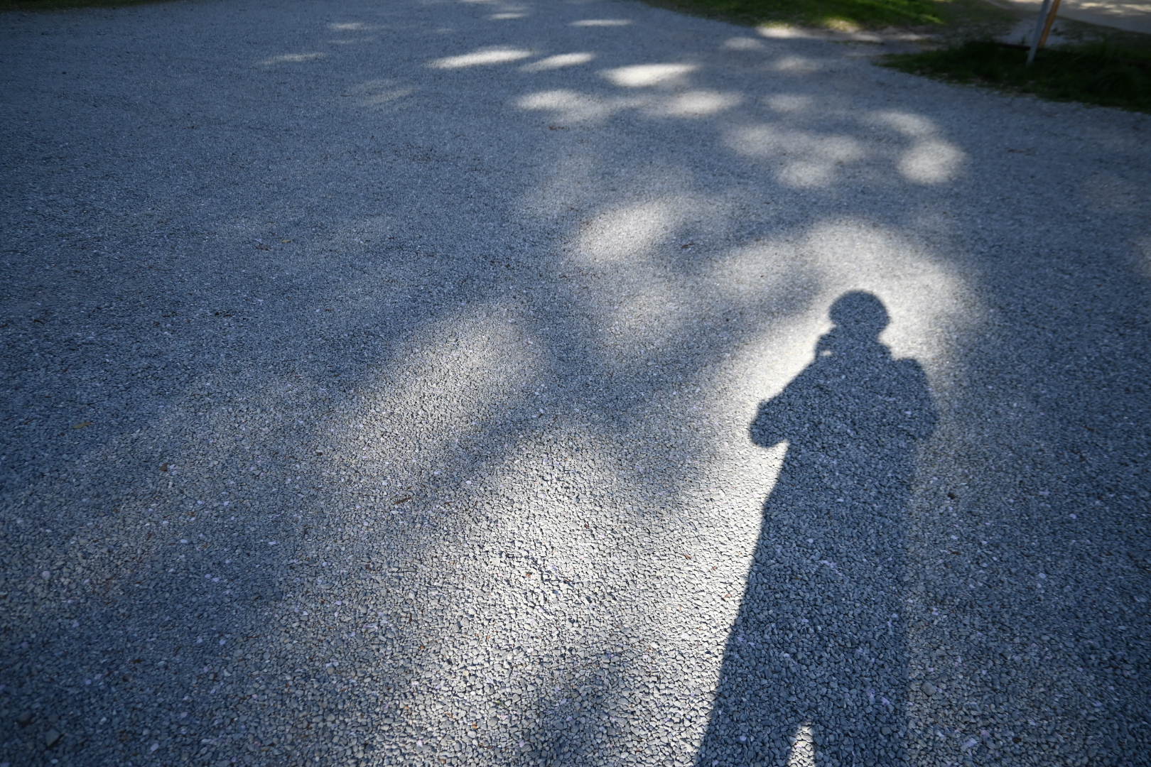 久しぶりに。もう少しで旅に出るきっかけ。