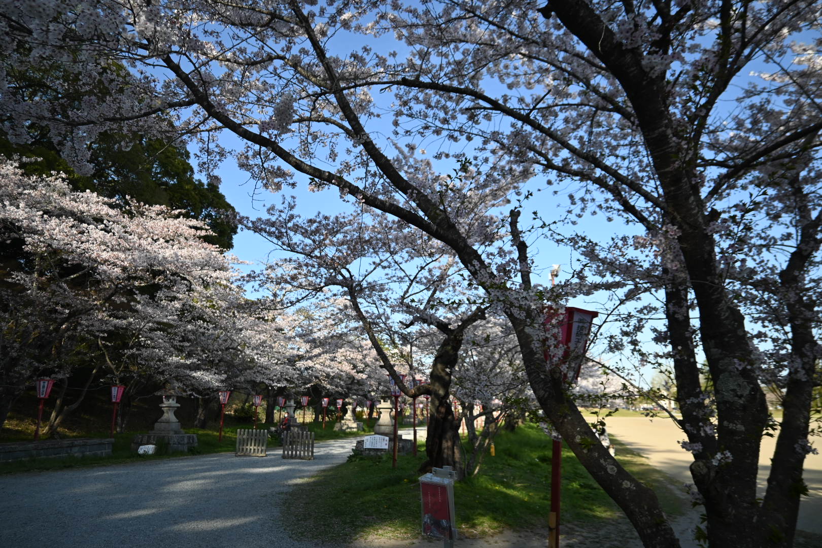 予備校での自己紹介